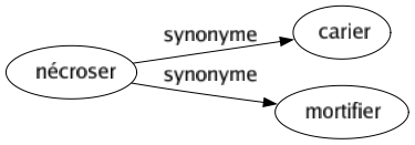 Synonyme de Nécroser : Carier Mortifier 