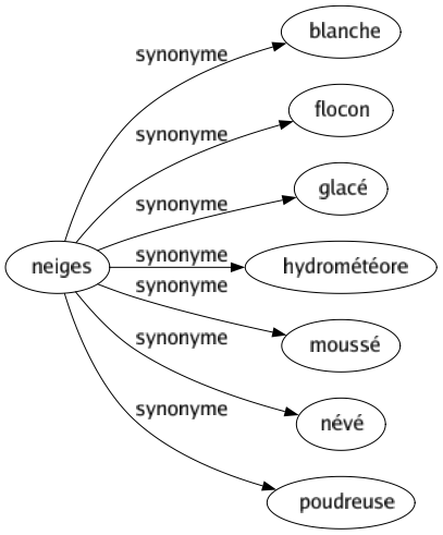 Synonyme de Neiges : Blanche Flocon Glacé Hydrométéore Moussé Névé Poudreuse 