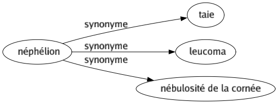 Synonyme de Néphélion : Taie Leucoma Nébulosité de la cornée 