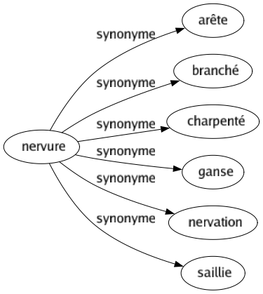 Synonyme de Nervure : Arête Branché Charpenté Ganse Nervation Saillie 