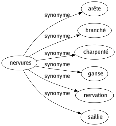 Synonyme de Nervures : Arête Branché Charpenté Ganse Nervation Saillie 