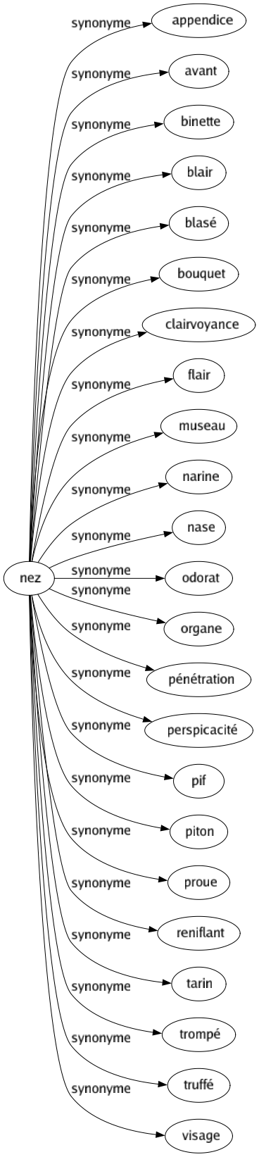 Synonyme de Nez : Appendice Avant Binette Blair Blasé Bouquet Clairvoyance Flair Museau Narine Nase Odorat Organe Pénétration Perspicacité Pif Piton Proue Reniflant Tarin Trompé Truffé Visage 