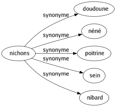Synonyme de Nichons : Doudoune Néné Poitrine Sein Nibard 