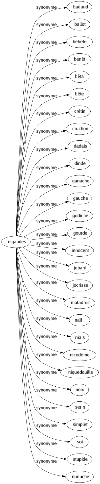 Synonyme de Nigaudes : Badaud Ballot Bébête Benêt Bêta Bête Crétin Cruchon Dadais Dinde Ganache Gauche Godiche Gourde Innocent Jobard Jocrisse Maladroit Naïf Niais Nicodème Niquedouille Noix Serin Simplet Sot Stupide Nunuche 