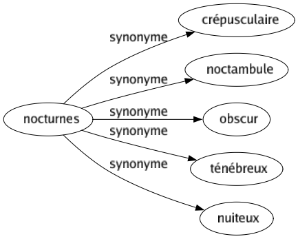 Synonyme de Nocturnes : Crépusculaire Noctambule Obscur Ténébreux Nuiteux 