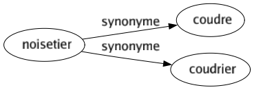 Synonyme de Noisetier : Coudre Coudrier 