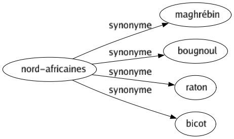 Synonyme de Nord-africaines : Maghrébin Bougnoul Raton Bicot 