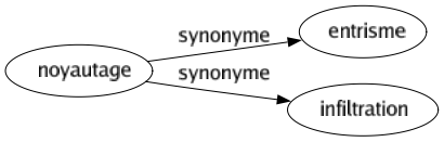 Synonyme de Noyautage : Entrisme Infiltration 