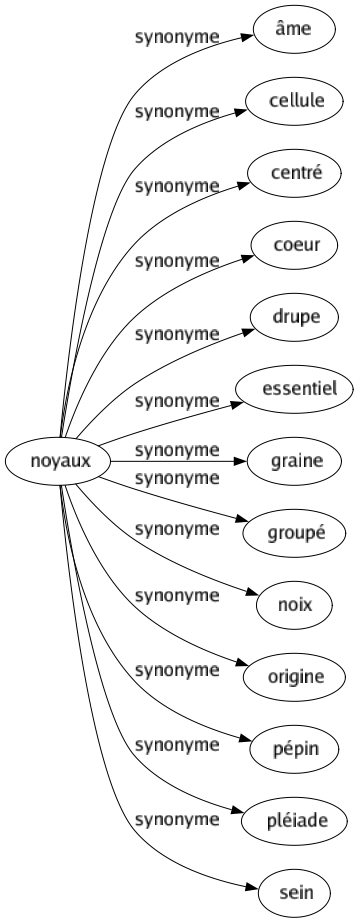 Synonyme de Noyaux : Âme Cellule Centré Coeur Drupe Essentiel Graine Groupé Noix Origine Pépin Pléiade Sein 