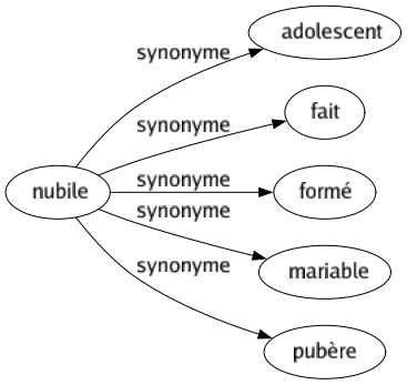 Synonyme de Nubile : Adolescent Fait Formé Mariable Pubère 