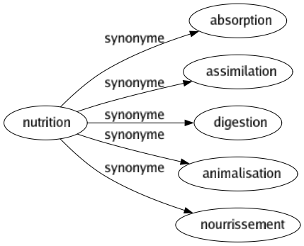 Synonyme de Nutrition : Absorption Assimilation Digestion Animalisation Nourrissement 