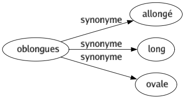 Synonyme de Oblongues : Allongé Long Ovale 