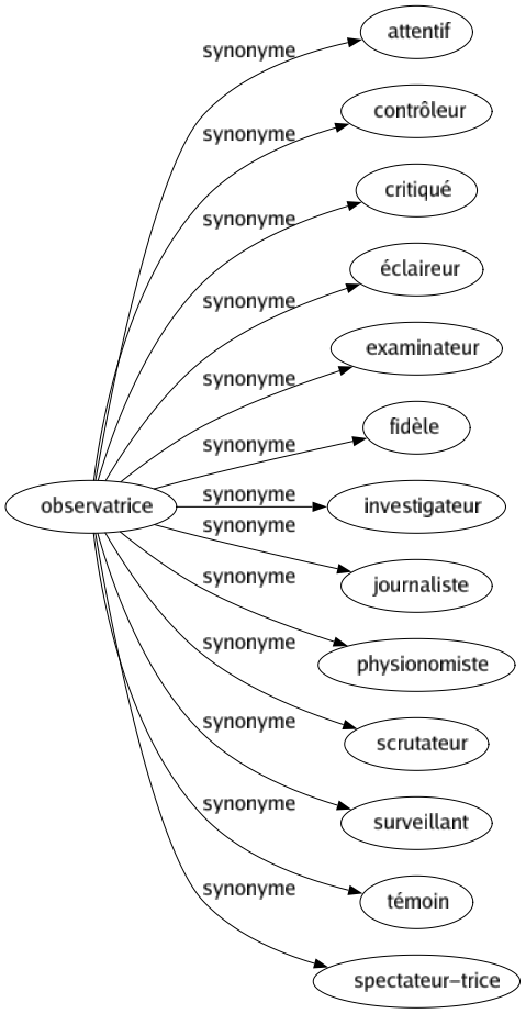 Synonyme de Observatrice : Attentif Contrôleur Critiqué Éclaireur Examinateur Fidèle Investigateur Journaliste Physionomiste Scrutateur Surveillant Témoin Spectateur-trice 