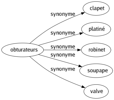 Synonyme de Obturateurs : Clapet Platiné Robinet Soupape Valve 