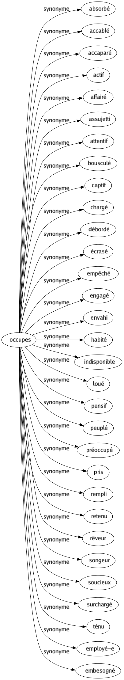 Synonyme de Occupes : Absorbé Accablé Accaparé Actif Affairé Assujetti Attentif Bousculé Captif Chargé Débordé Écrasé Empêché Engagé Envahi Habité Indisponible Loué Pensif Peuplé Préoccupé Pris Rempli Retenu Rêveur Songeur Soucieux Surchargé Ténu Employé-e Embesogné 