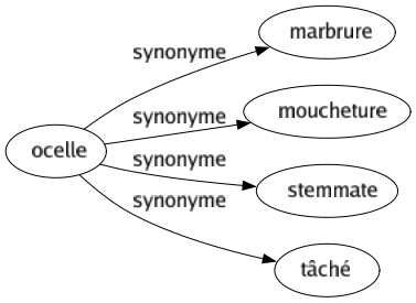 Synonyme de Ocelle : Marbrure Moucheture Stemmate Tâché 