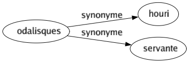 Synonyme de Odalisques : Houri Servante 