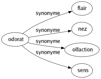 Synonyme de Odorat : Flair Nez Olfaction Sens 