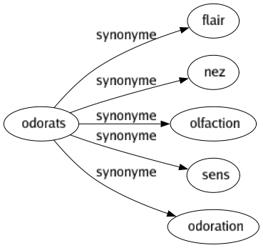 Synonyme de Odorats : Flair Nez Olfaction Sens Odoration 