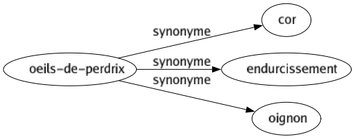 Synonyme de Oeils-de-perdrix : Cor Endurcissement Oignon 