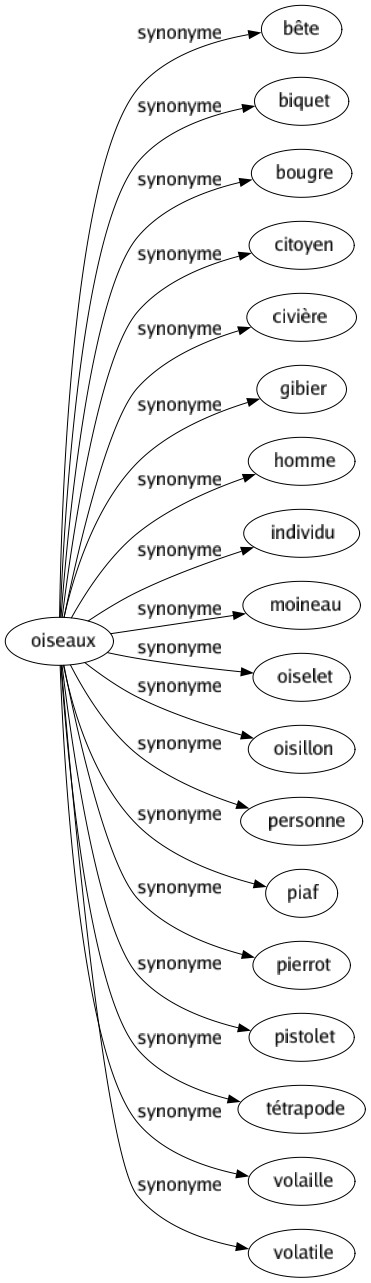 Synonyme De Oiseaux 18