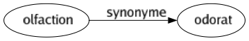 Synonyme de Olfaction : Odorat 