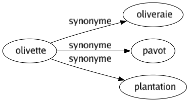 Synonyme de Olivette : Oliveraie Pavot Plantation 