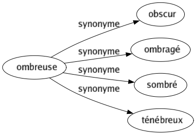 Synonyme de Ombreuse : Obscur Ombragé Sombré Ténébreux 