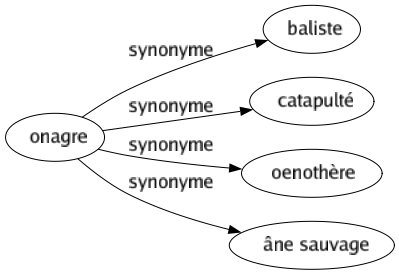 Synonyme de Onagre : Baliste Catapulté Oenothère Âne sauvage 