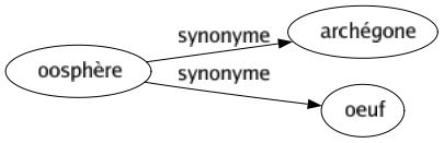 Synonyme de Oosphère : Archégone Oeuf 