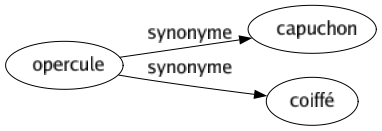 Synonyme de Opercule : Capuchon Coiffé 