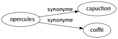 Synonyme de Opercules : Capuchon Coiffé 