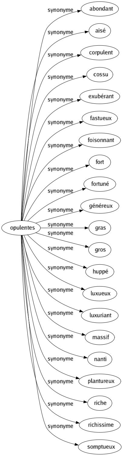 Synonyme de Opulentes : Abondant Aisé Corpulent Cossu Exubérant Fastueux Foisonnant Fort Fortuné Généreux Gras Gros Huppé Luxueux Luxuriant Massif Nanti Plantureux Riche Richissime Somptueux 