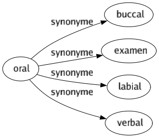 Synonyme de Oral : Buccal Examen Labial Verbal 