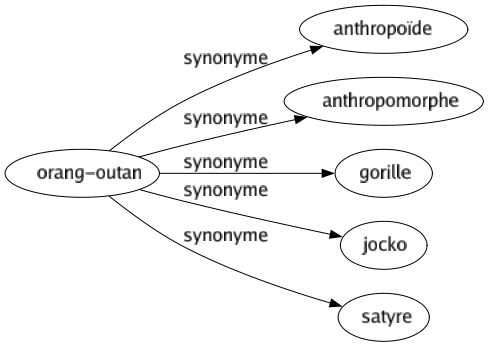 Synonyme de Orang-outan : Anthropoïde Anthropomorphe Gorille Jocko Satyre 