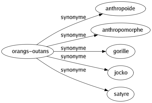 Synonyme de Orangs-outans : Anthropoïde Anthropomorphe Gorille Jocko Satyre 