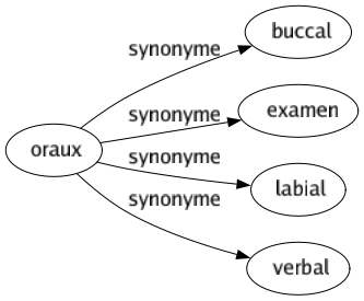 Synonyme de Oraux : Buccal Examen Labial Verbal 