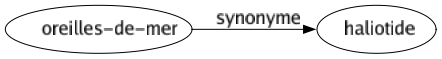 Synonyme de Oreilles-de-mer : Haliotide 