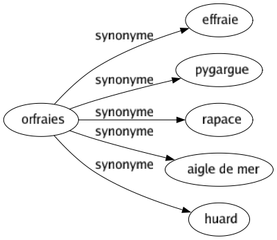 Synonyme de Orfraies : Effraie Pygargue Rapace Aigle de mer Huard 