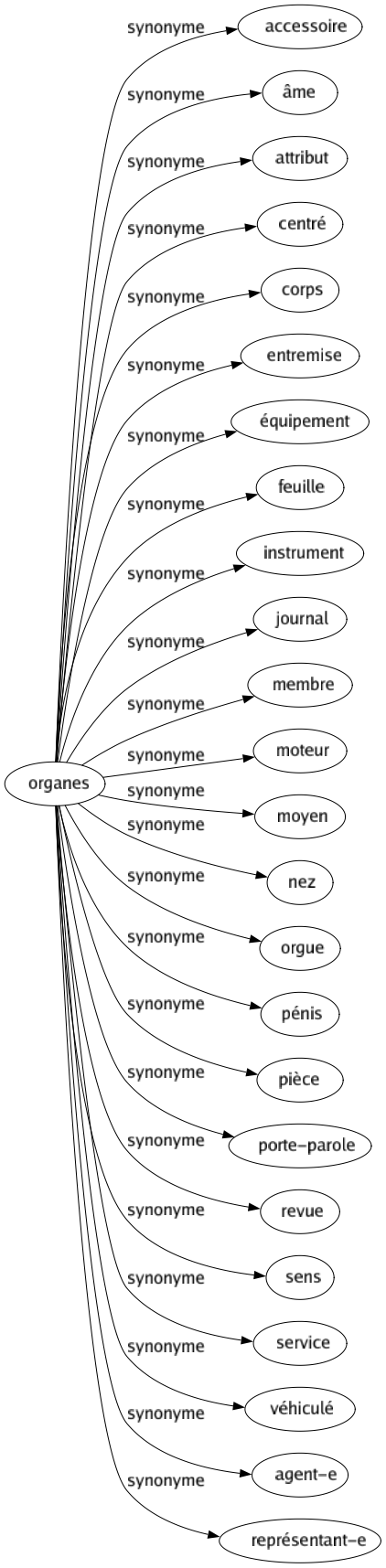 Synonyme de Organes : Accessoire Âme Attribut Centré Corps Entremise Équipement Feuille Instrument Journal Membre Moteur Moyen Nez Orgue Pénis Pièce Porte-parole Revue Sens Service Véhiculé Agent-e Représentant-e 