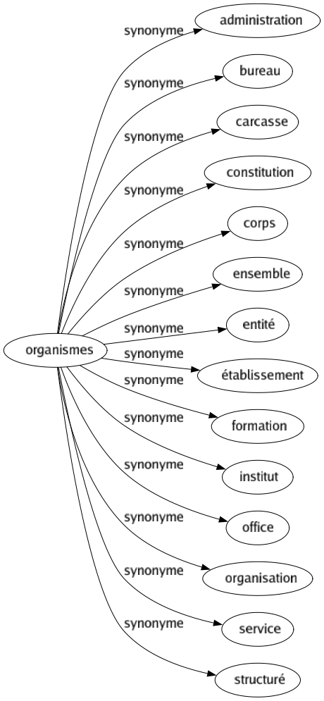 Synonyme de Organismes : Administration Bureau Carcasse Constitution Corps Ensemble Entité Établissement Formation Institut Office Organisation Service Structuré 