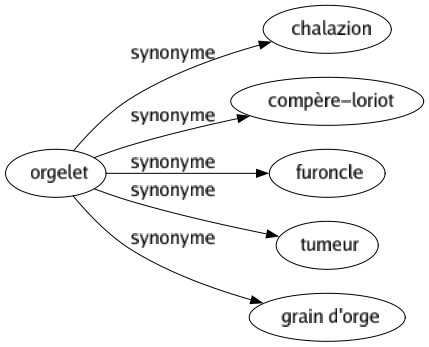 Synonyme de Orgelet : Chalazion Compère-loriot Furoncle Tumeur Grain d'orge 