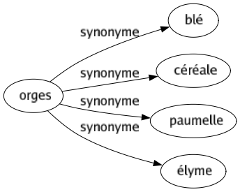 Synonyme de Orges : Blé Céréale Paumelle Élyme 