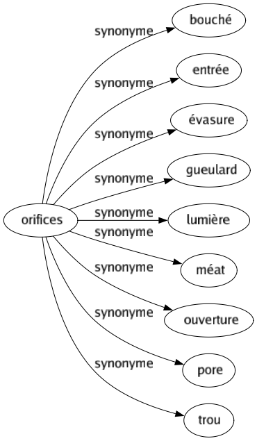 Synonyme de Orifices : Bouché Entrée Évasure Gueulard Lumière Méat Ouverture Pore Trou 