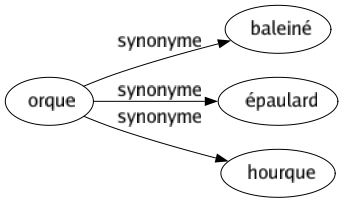 Synonyme de Orque : Baleiné Épaulard Hourque 