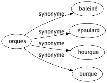 Synonyme de Orques : Baleiné Épaulard Hourque Ourque 