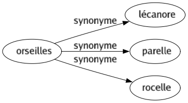 Synonyme de Orseilles : Lécanore Parelle Rocelle 