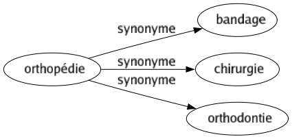 Synonyme de Orthopédie : Bandage Chirurgie Orthodontie 