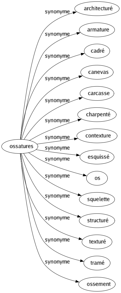 Synonyme de Ossatures : Architecturé Armature Cadré Canevas Carcasse Charpenté Contexture Esquissé Os Squelette Structuré Texturé Tramé Ossement 