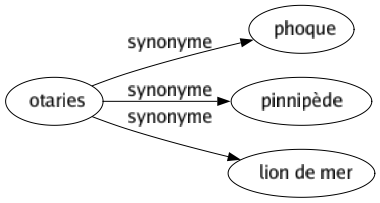 Synonyme de Otaries : Phoque Pinnipède Lion de mer 